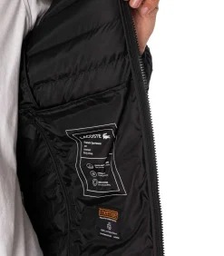 Heren LACOSTE Gewatteerde Gewatteerde Jas