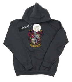 Outlet GRYFFINDOR - Trui met kap - Anthraciet Grijs Kinderen Truien & Vesten