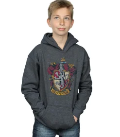 Outlet GRYFFINDOR - Trui met kap - Anthraciet Grijs Kinderen Truien & Vesten