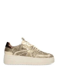 DAMES Haboob AURELIE Dames Sneaker