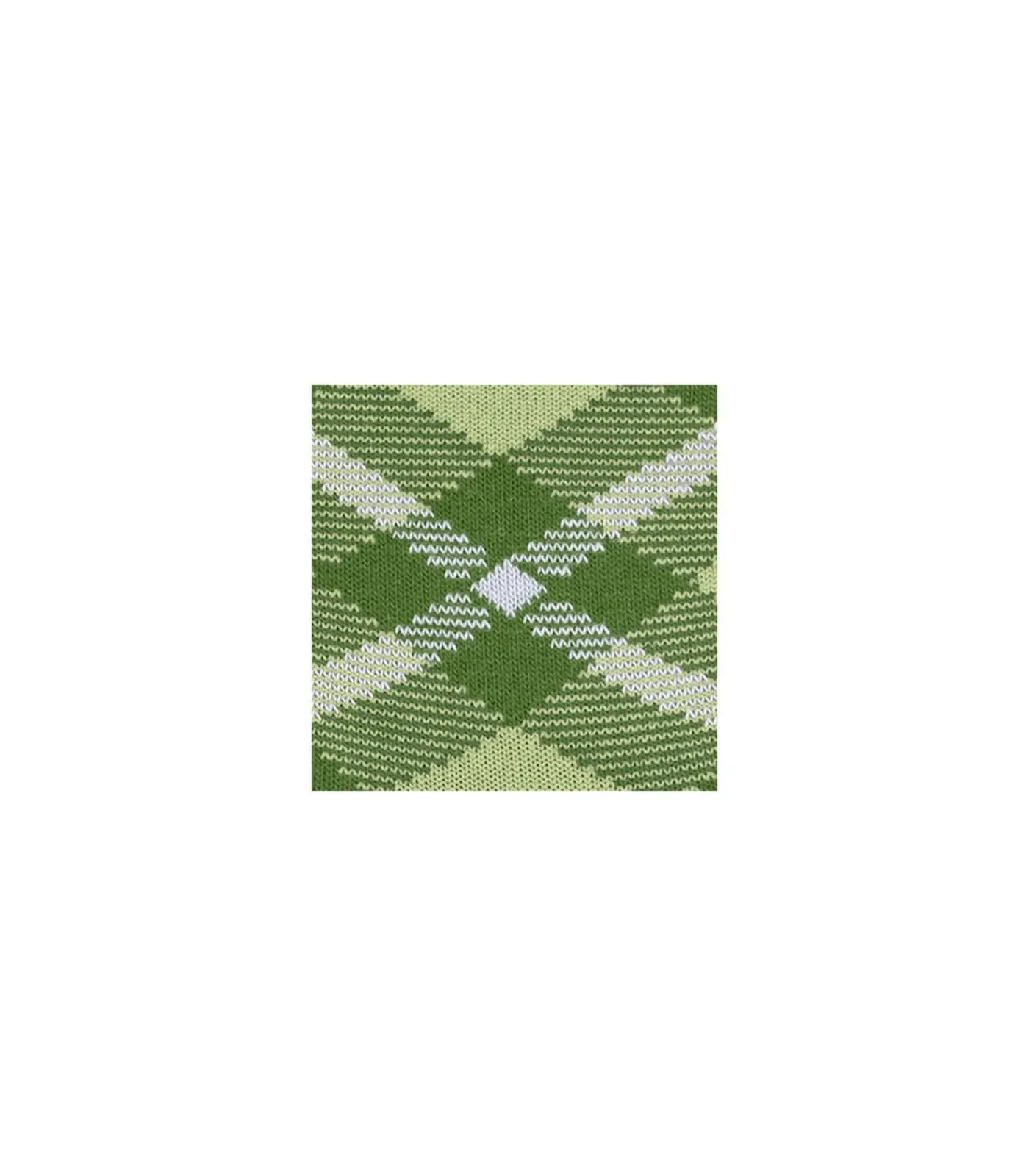 Best Herensokken Tartan Groen Heren Sokken
