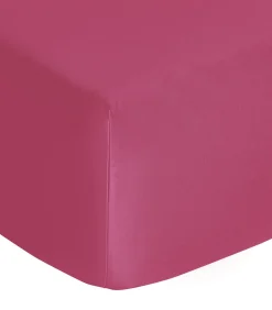 Anne de Solène HoesLaken | Vexin · Clématite