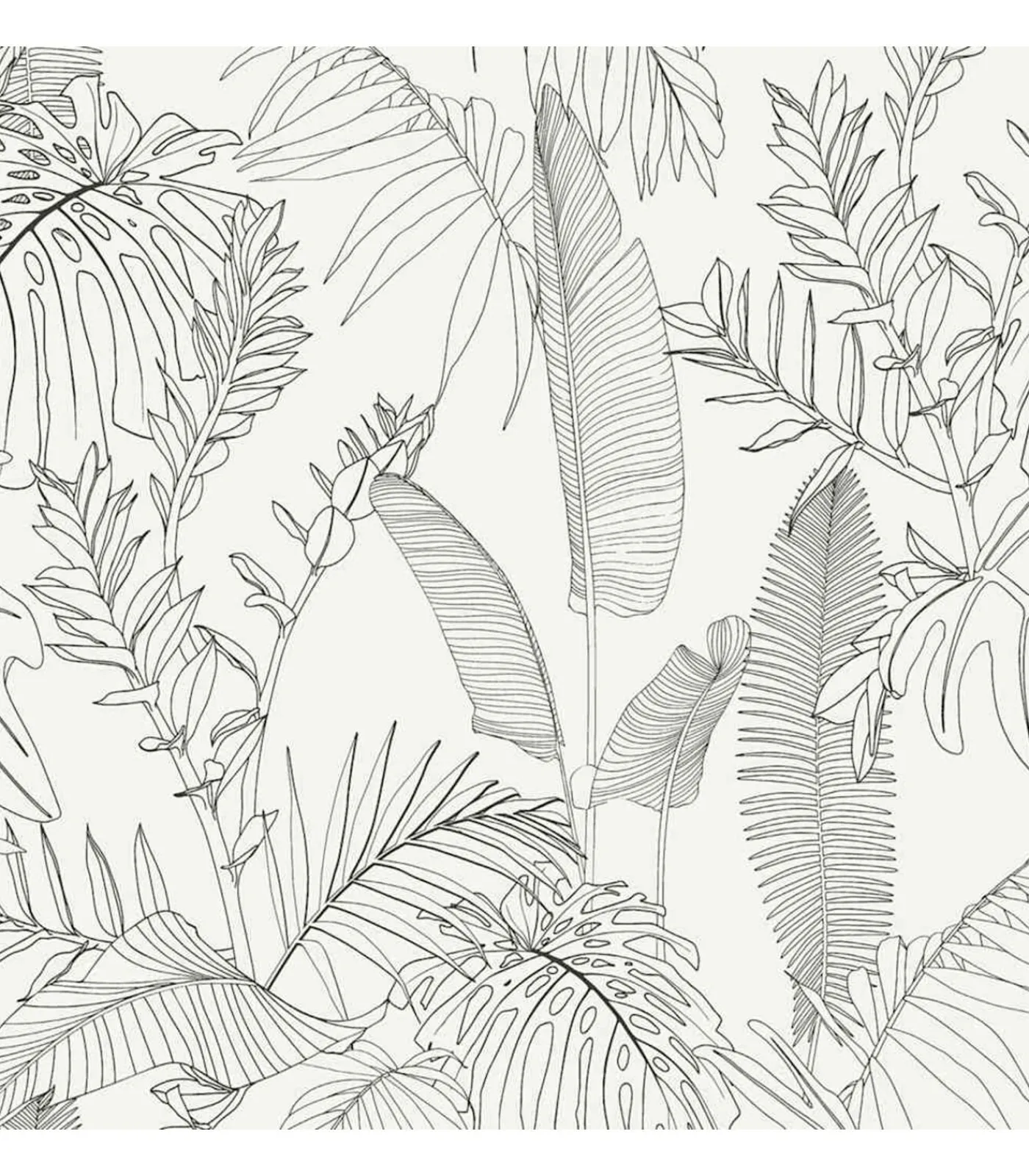 Best HOLLANDSE WANDBEKLEDING Behang Galapalos Wit Decoratie