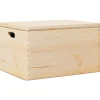 Online Houten kist met deksel&handvatten 40x30x23cm massief grenenhout Organiseren