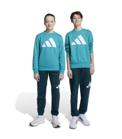 Kinderen Adidas Sportswear J Bl Fl Jog 240