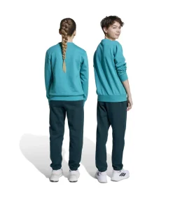 Kinderen Adidas Sportswear J Bl Fl Jog 240