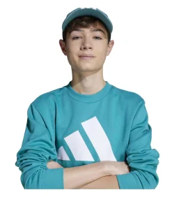 Kinderen Adidas Sportswear J Bl Fl Jog 240