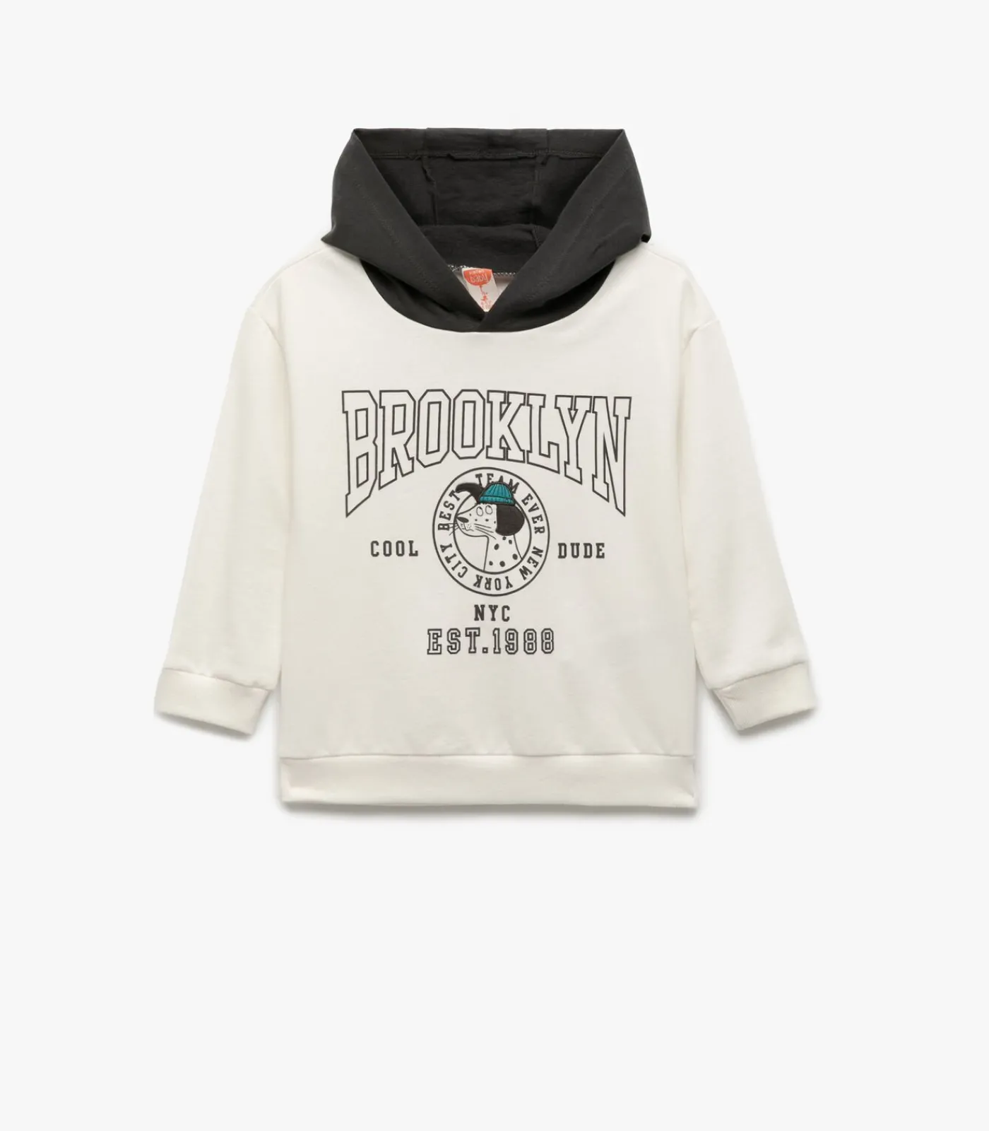 Kinderen Koton Printed Hooded Sweatshirt