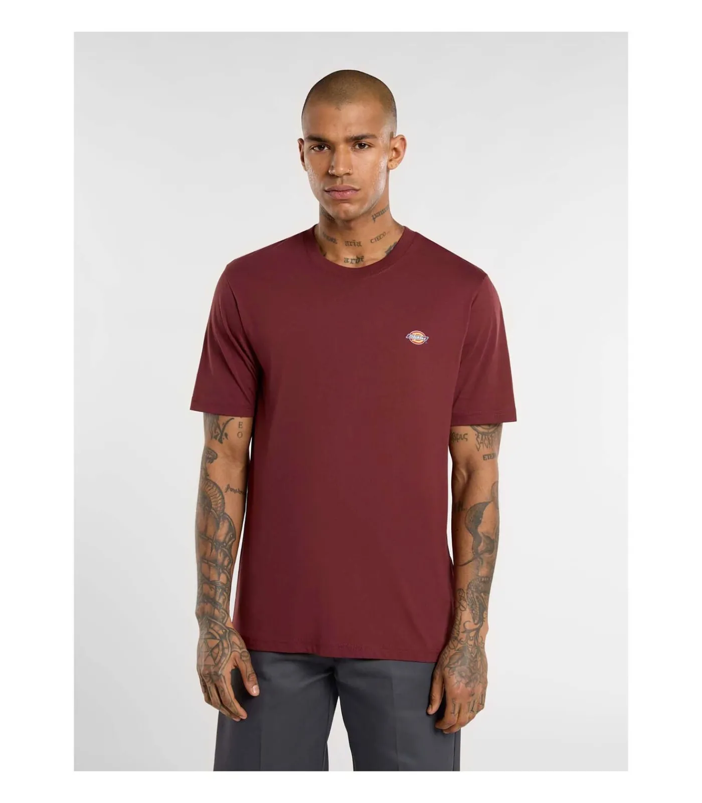 Heren Dickies Mapleton Ss Tee