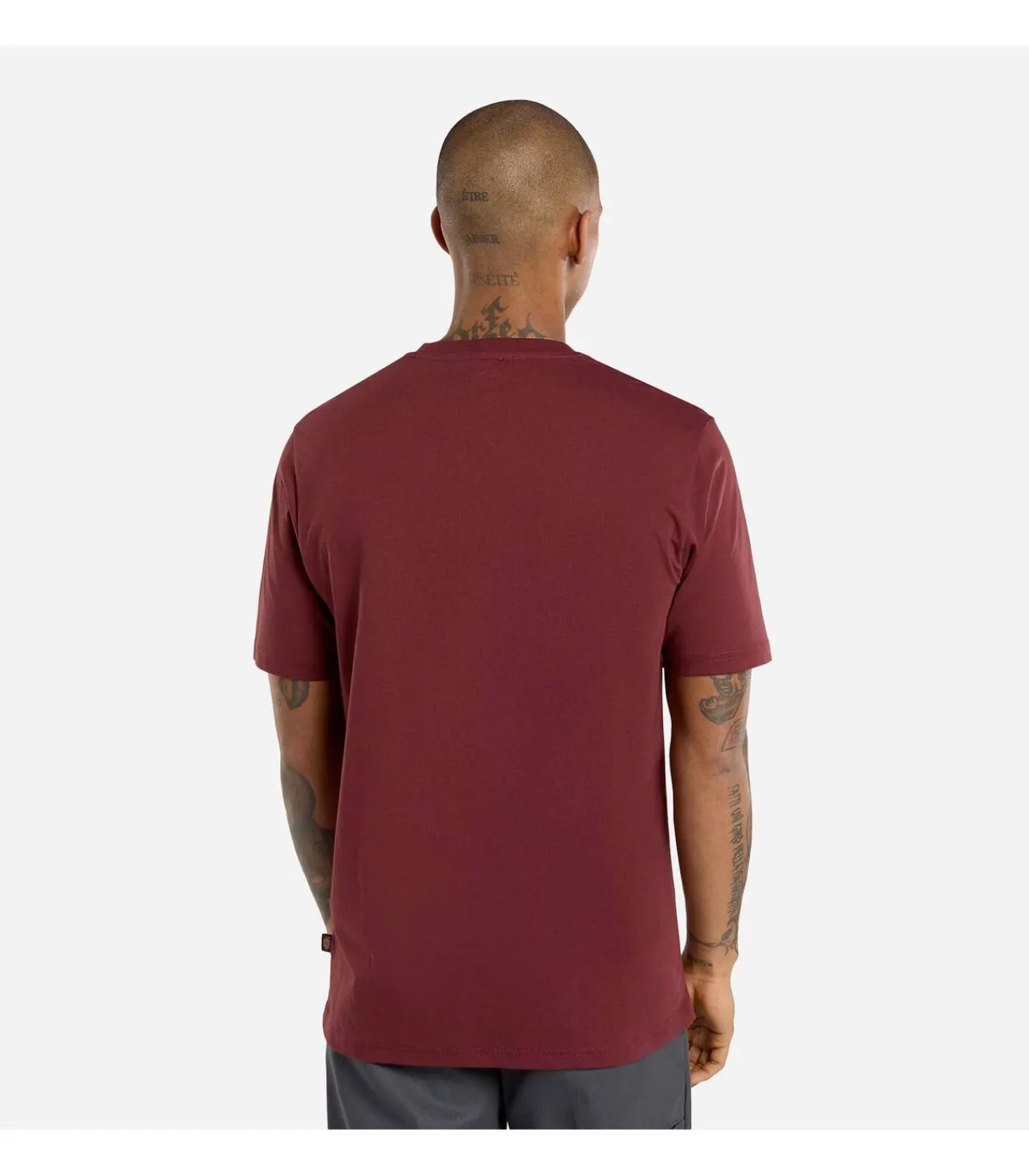 Heren Dickies Mapleton Ss Tee
