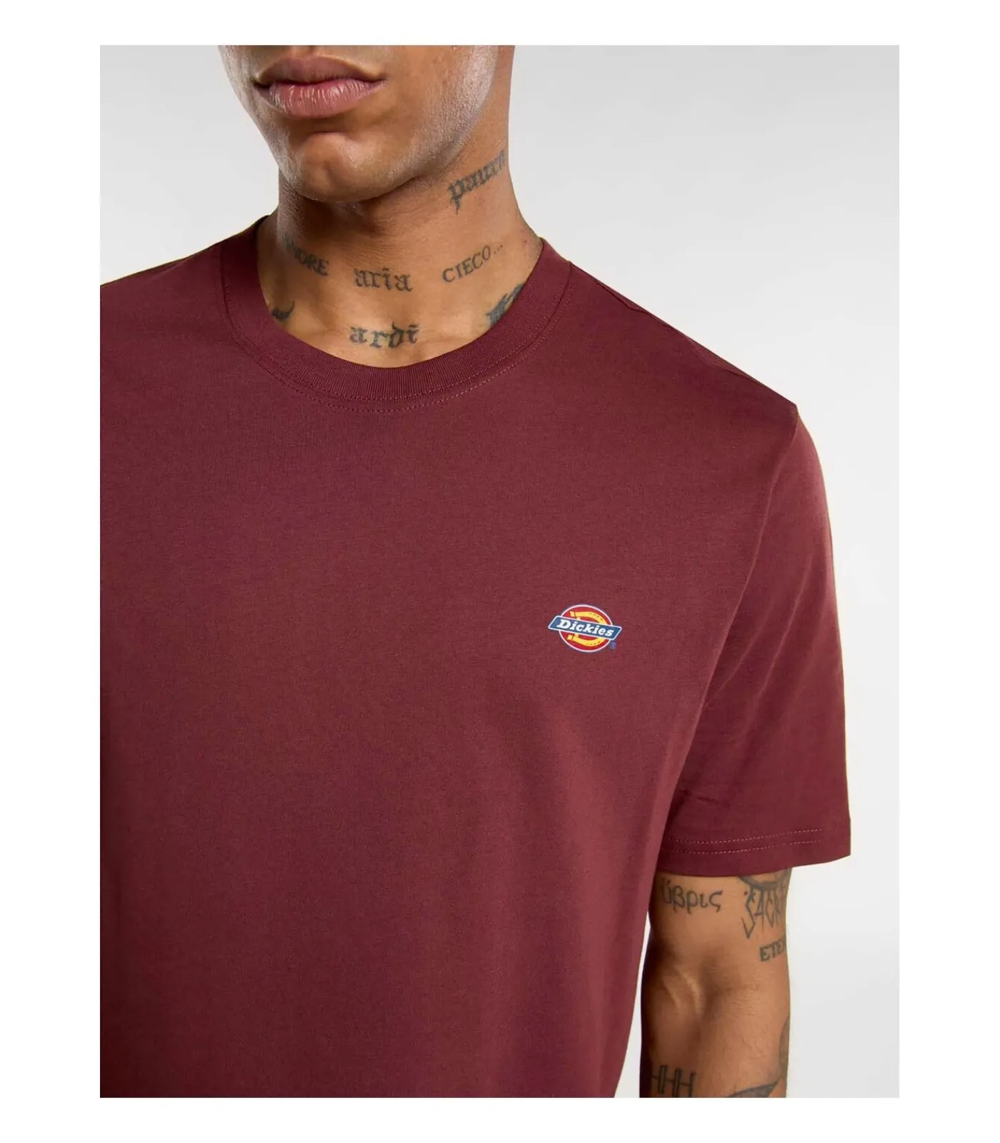 Heren Dickies Mapleton Ss Tee