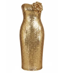 Hot Midi-jurk “Liquid Sequin Boobtube Midaxi With Corsage” DAMES Jurken