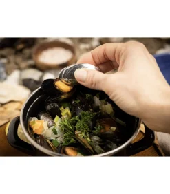 Anovi Mosselbestek 2-delig