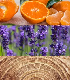 Discount Obsession for Men Eau de Toilette 125 ml Eau De Toilette