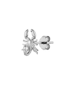 Heren Earcandy PIERCING ESCIPION