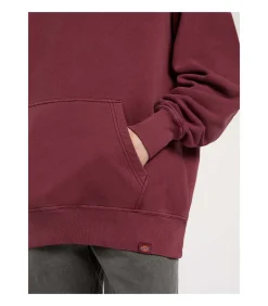 Best Plentywood Hoodie Heren Truien & Cardigans