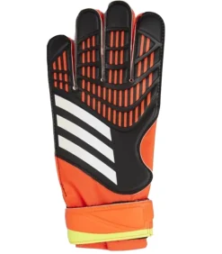 Online PREDATOR - Handschoenen - Zwart Heren Handschoenen