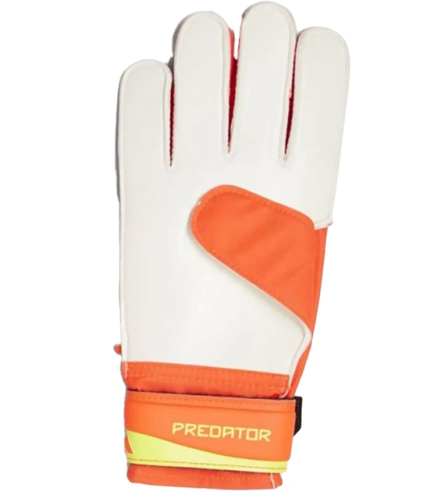 Online PREDATOR - Handschoenen - Zwart Heren Handschoenen