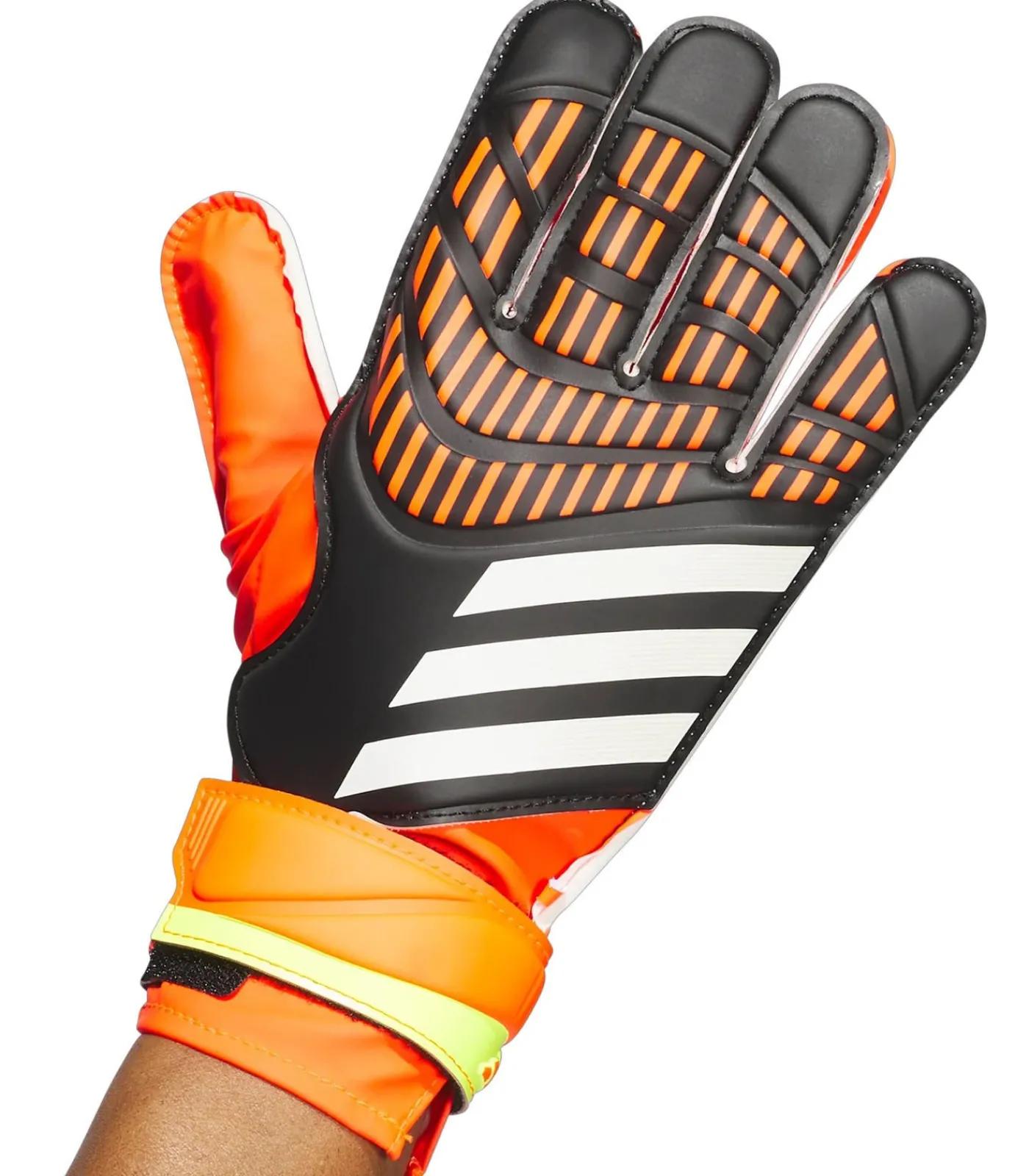 Online PREDATOR - Handschoenen - Zwart Heren Handschoenen