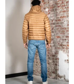 Heren LACOSTE Puffer jacket - dark tate