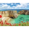 Kinderen Ravensburger legpuzzel Klaprozen Algarve Portugal - 1000 stukjes bloemen landschap