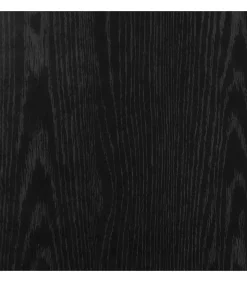 vidaXL Schoenenkasten 32x35x70 cm spaanplaat 2 st zwart eikenkleurig