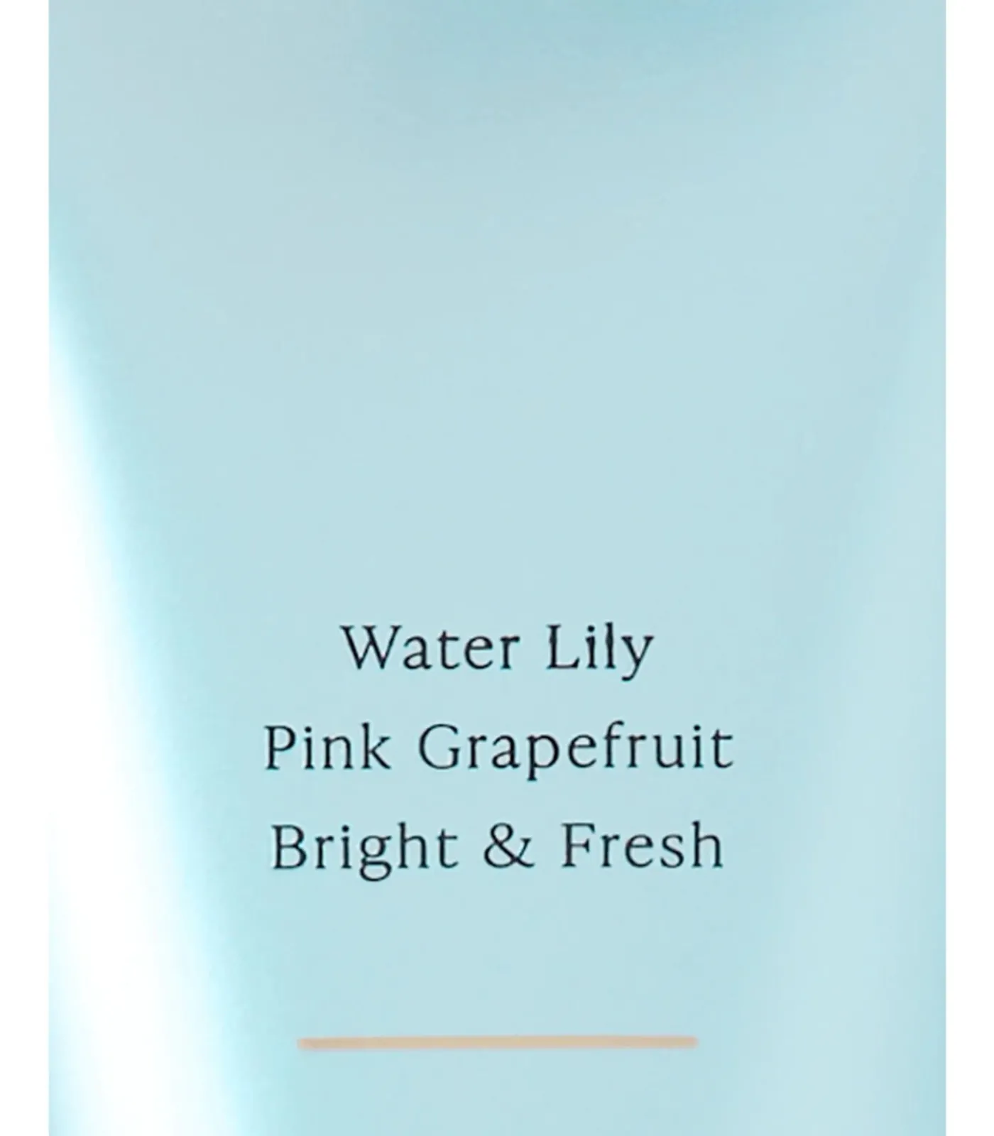 Victoria's Secret Set van Bodymist en Bodylotion – Aqua Kiss