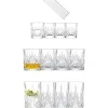 SCHOTT ZWIESEL Show Giftset 17 Dlg (4X 35-60-79-rietjes+borstel)