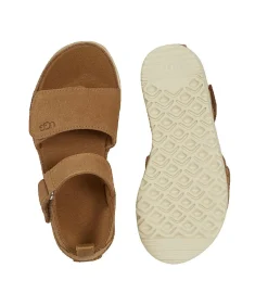 Heren UGG Sneakers Goldenstar bruin