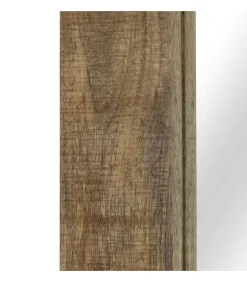 vidaXL Spiegel 50x110 cm massief mangohout