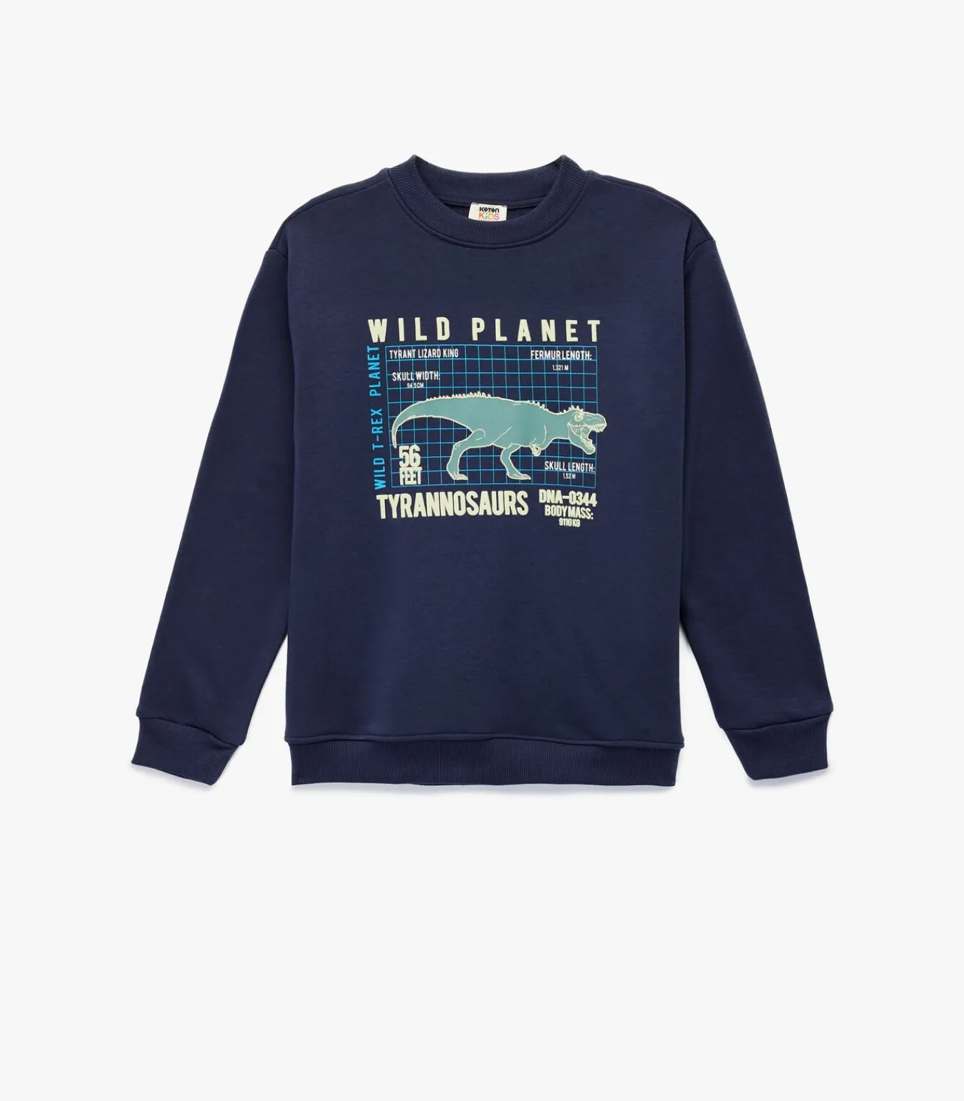 Sweatshirt Kind Ronde Hals Dino Print Blauw Kinderen Truien & Vesten