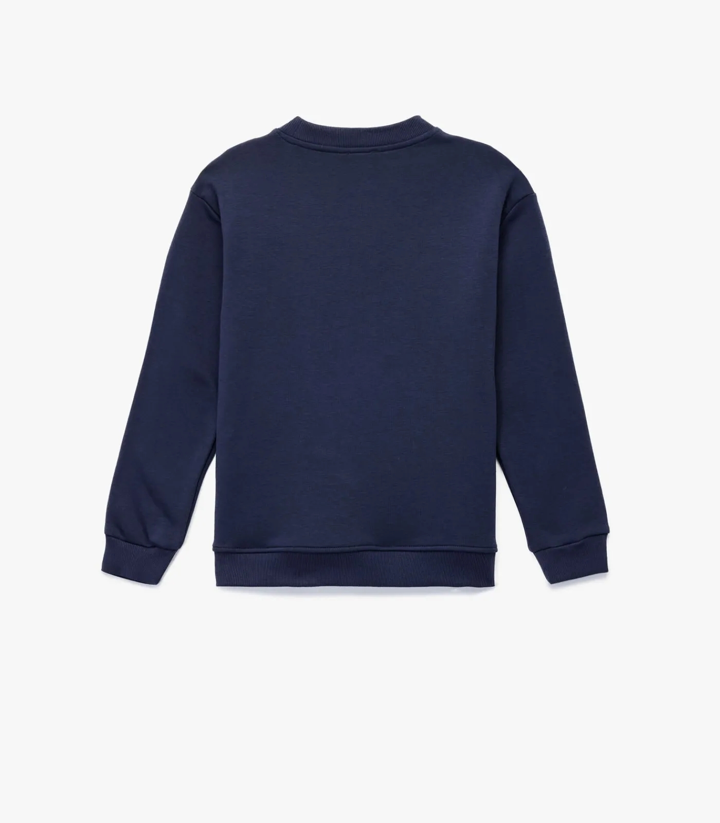 Sweatshirt Kind Ronde Hals Dino Print Blauw Kinderen Truien & Vesten