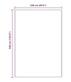 Hot Tapijt Donkergrijs 240 x 340 cm Polypropyleen Tapijten