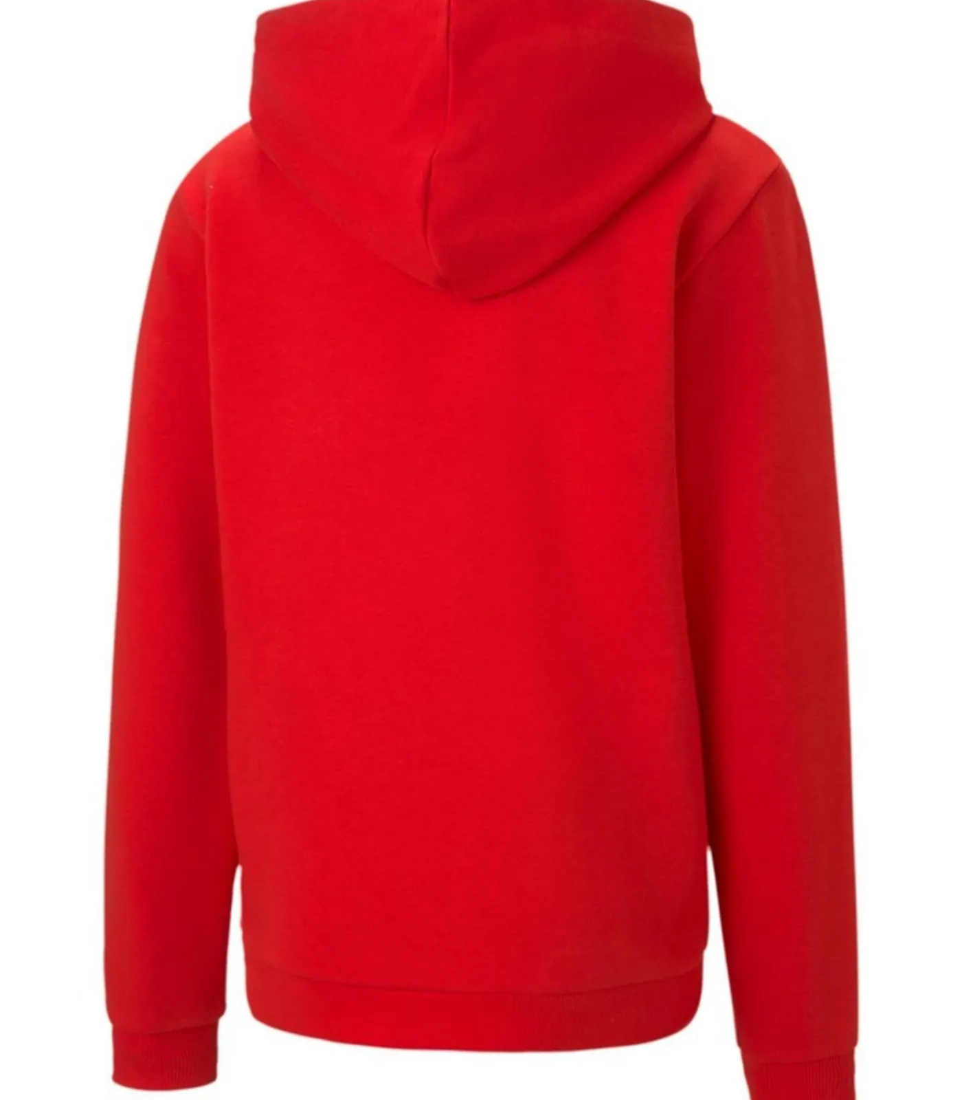 Kinderen PUMA TEAMGOAL 23 - Trui met kap - Rood