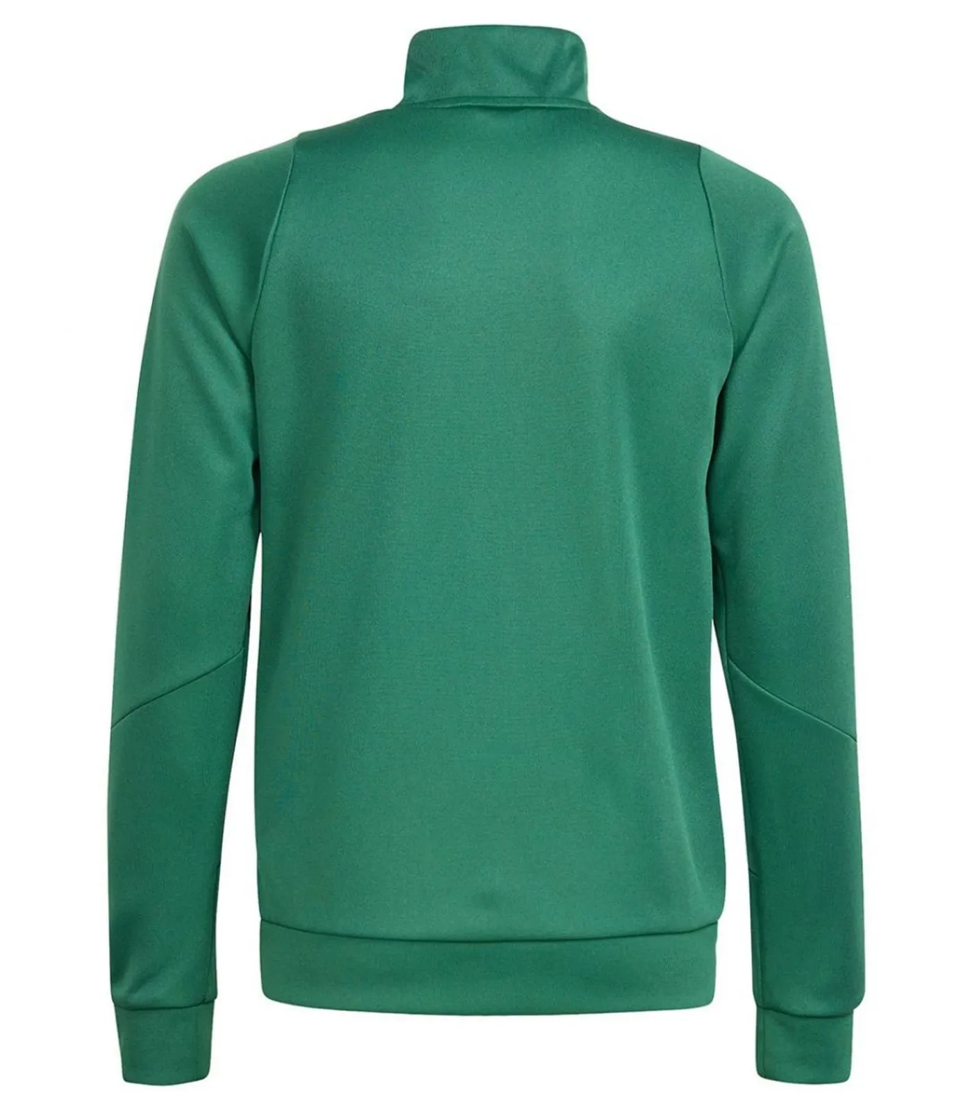 Kinderen Adidas TIRO 24 - Jasje - Groen