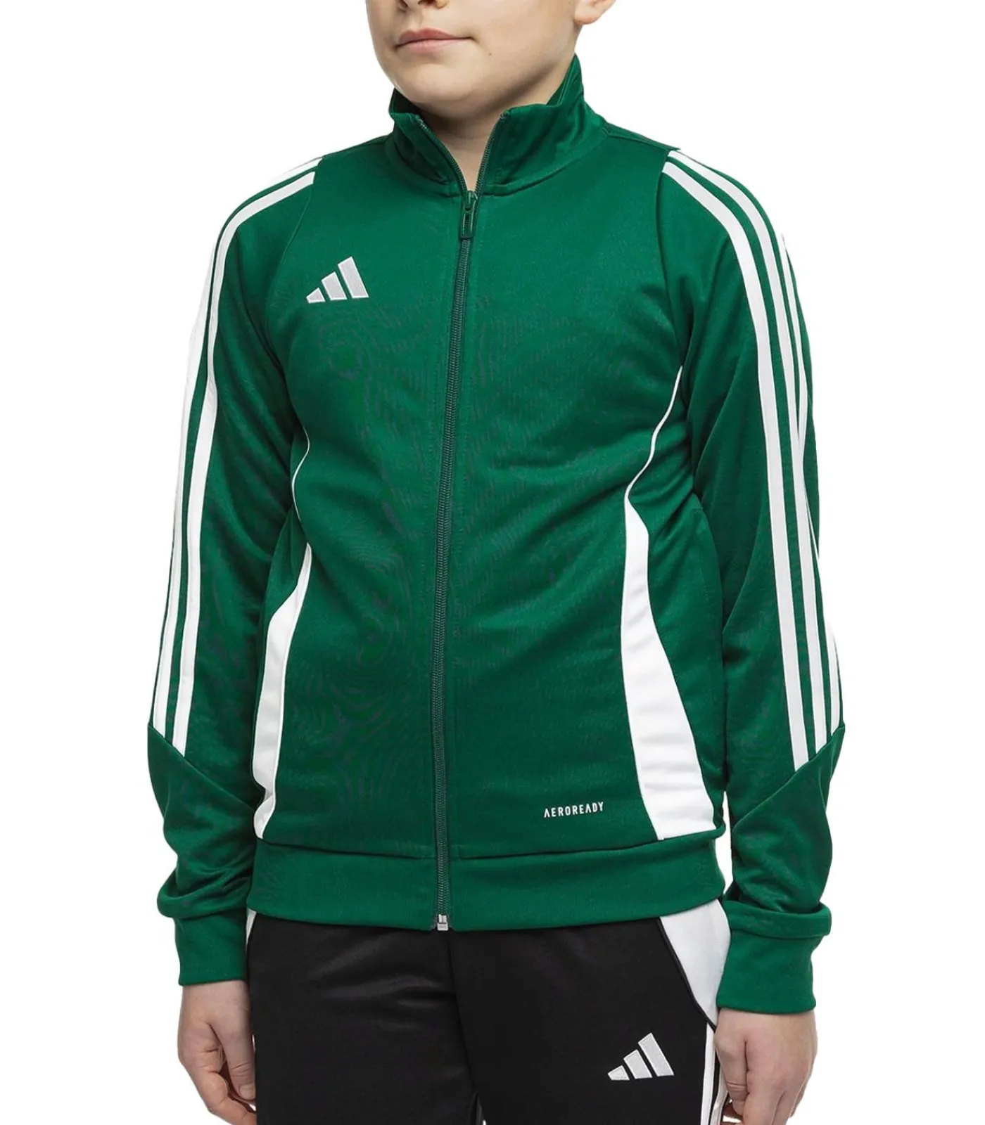 Kinderen Adidas TIRO 24 - Jasje - Groen