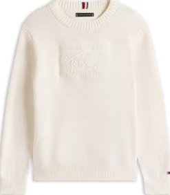 Kinderen Tommy Hilfiger Tommy Script Flag Tonal Sweate