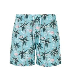Heren Urban Classics TROPICAL BIRDS - Zwembroek - Blauw