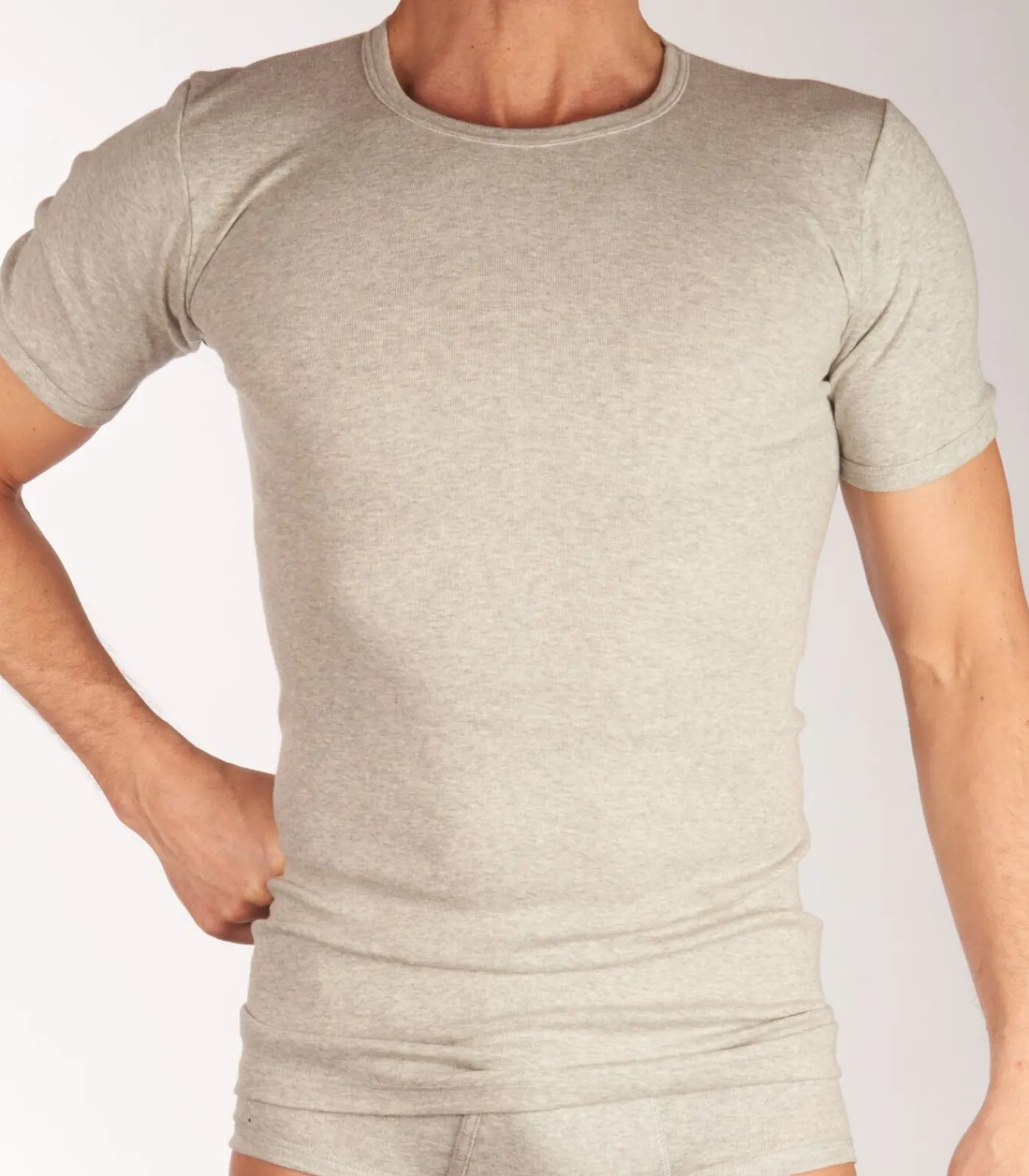 Heren DULCIA t-shirt ronde hals basic cotton 1-1 rib grey