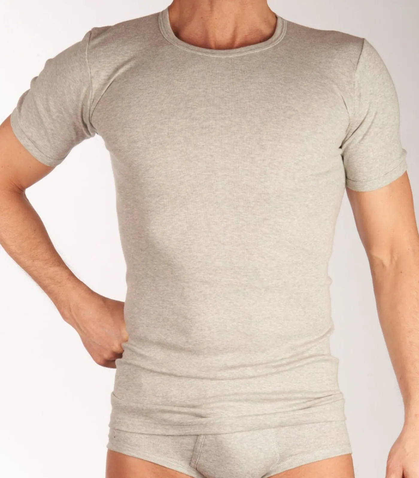 Heren DULCIA t-shirt ronde hals basic cotton 1-1 rib grey