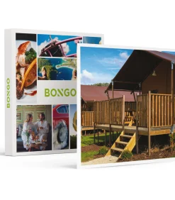 Bongo Vlaamse Ardennen: 3 dagen glamping in een safaritent voor 4 - Overnachten