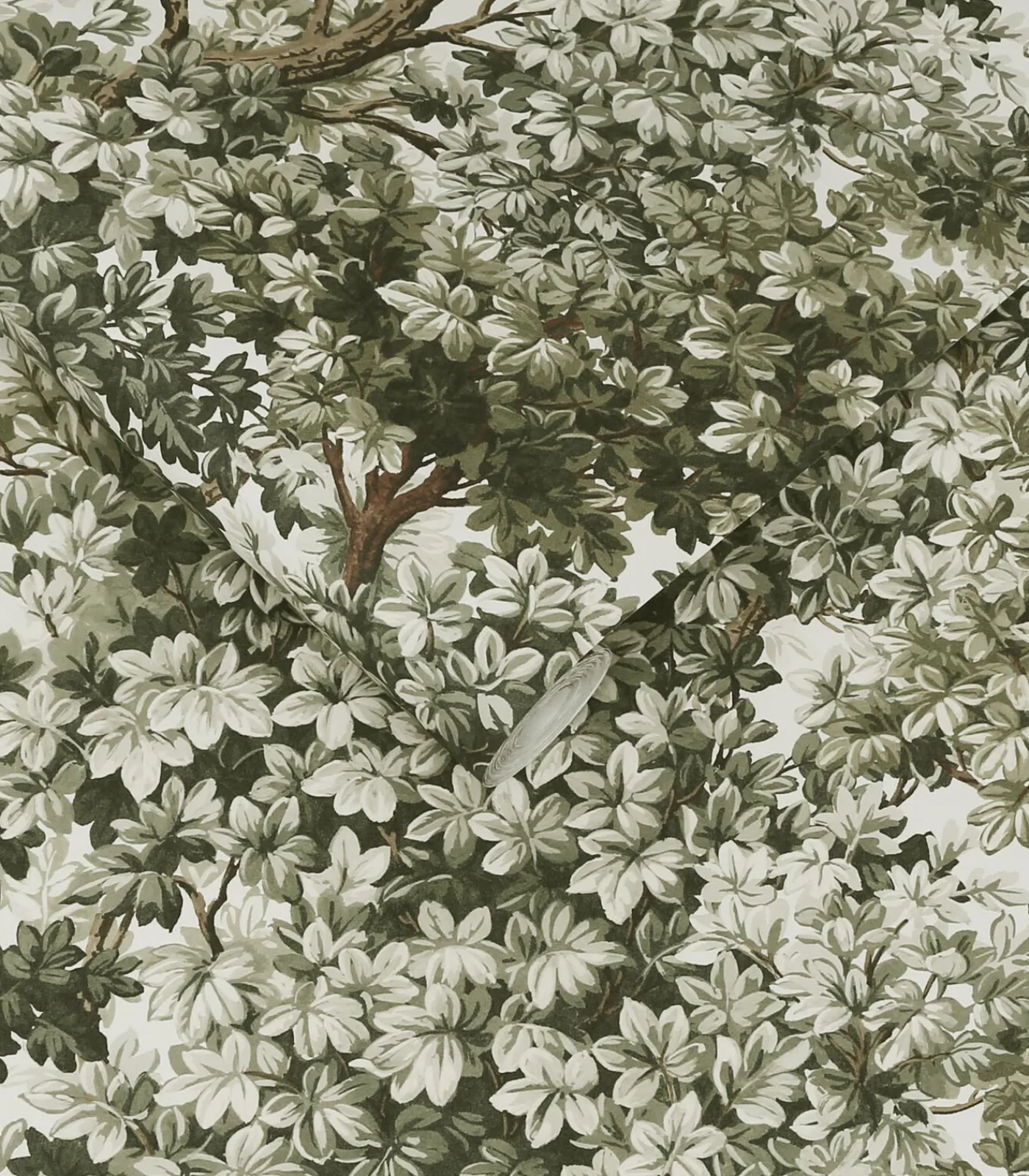 Graham & Brown Vliesbehang Coppice Sage