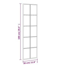 Hot Wandspiegel rechthoekig 30x100 cm ijzer zwart Spiegels