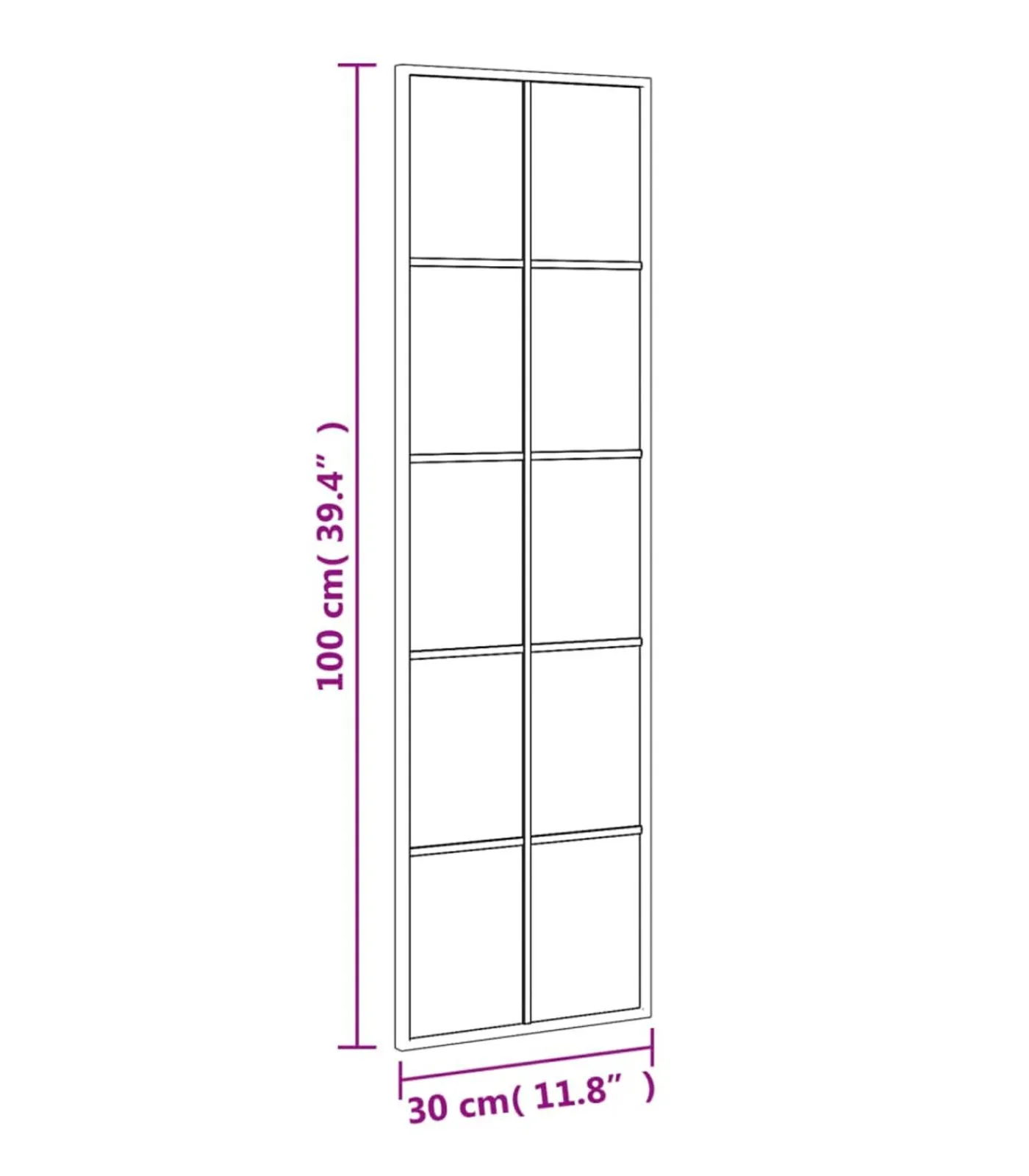 Hot Wandspiegel rechthoekig 30x100 cm ijzer zwart Spiegels