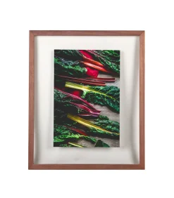 XLBoom WINDOW Fotokader 50x60