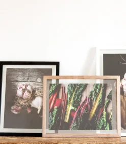 XLBoom WINDOW Fotokader 50x60