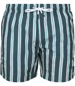 Heren Suitable Zwembroek Stripe Groen