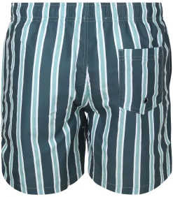 Heren Suitable Zwembroek Stripe Groen